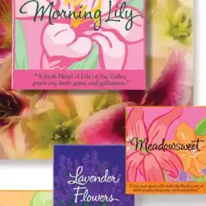 Bath & Body Works Print Design